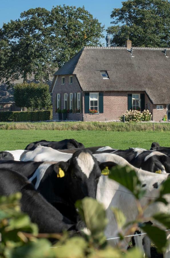 De Veurdeale Havelte Exterior foto