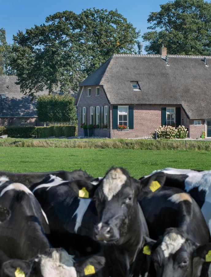 De Veurdeale Havelte Exterior foto